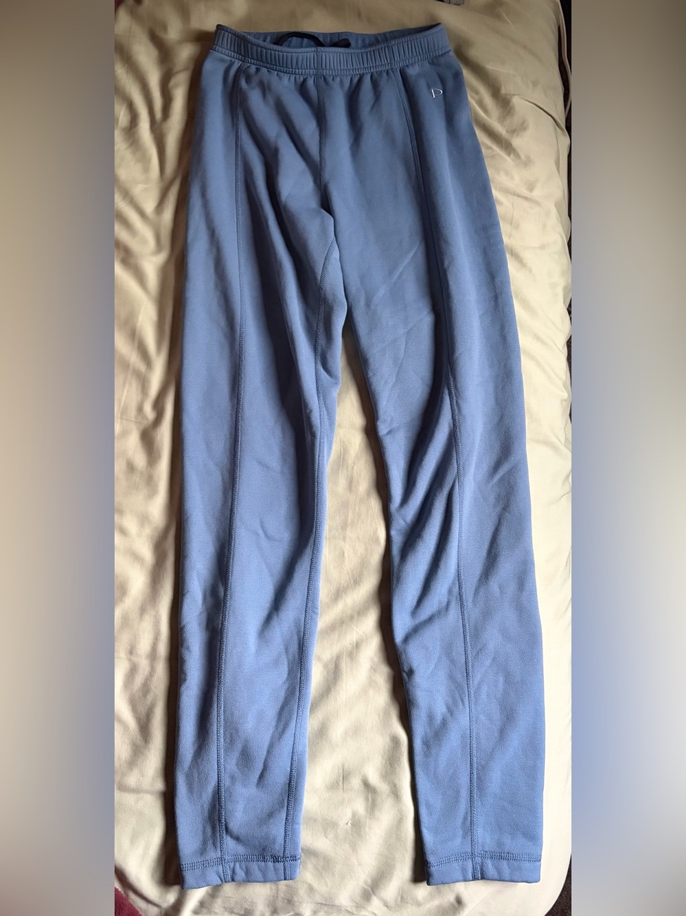 Arc'teryx Light Blue Women's polartec Pants